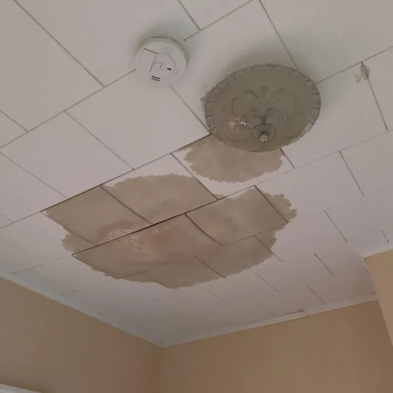 Ceiling Water Damage Repair in Nixon, TX
