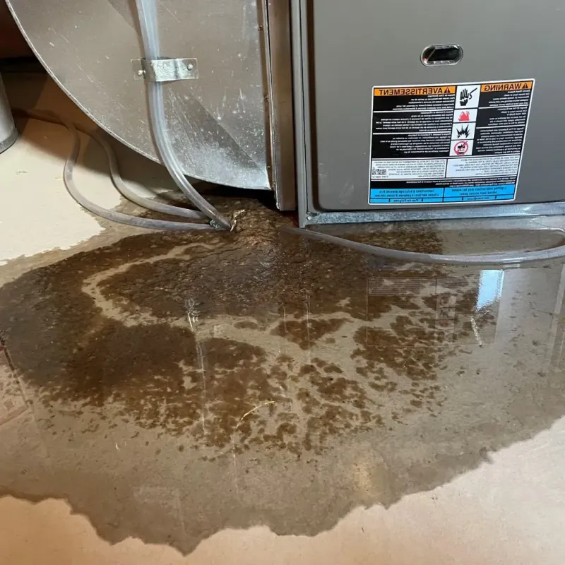 Pipe Burst and Leak Restoration in Nixon, TX