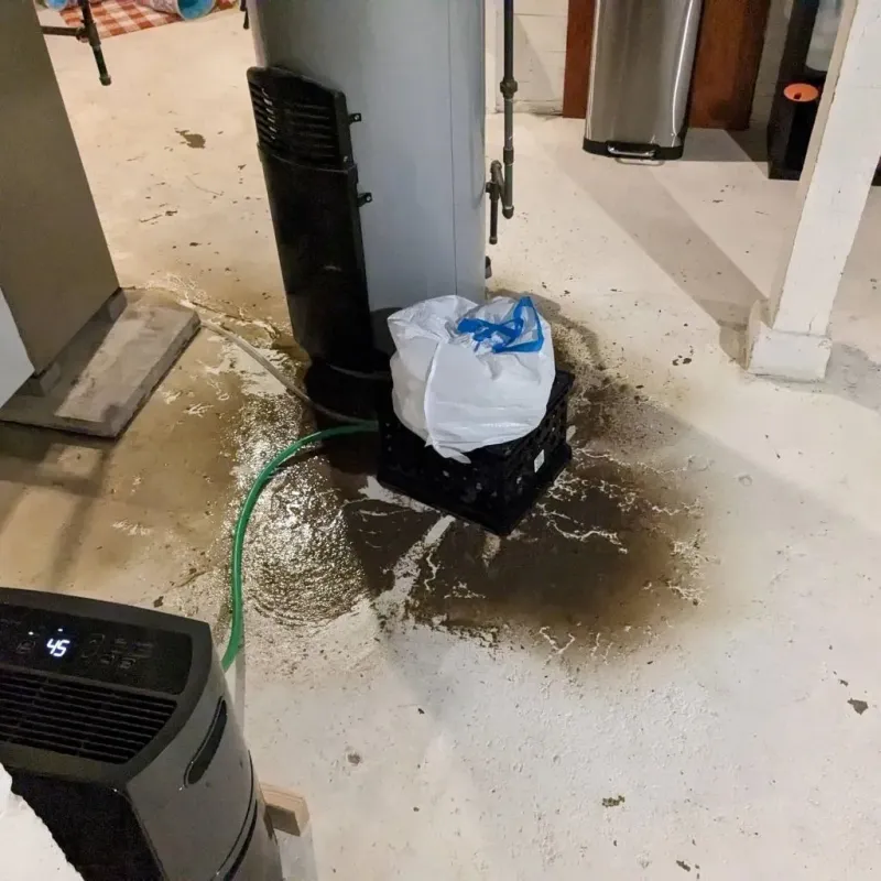 Sewage Backup Cleanup Service in Nixon, TX